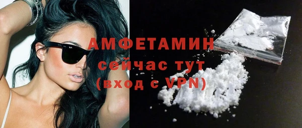 ПСИЛОЦИБИНОВЫЕ ГРИБЫ Новозыбков