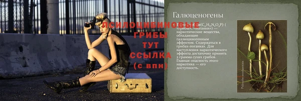 ПСИЛОЦИБИНОВЫЕ ГРИБЫ Новозыбков