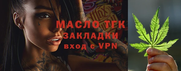 ПСИЛОЦИБИНОВЫЕ ГРИБЫ Новозыбков