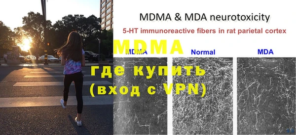 ПСИЛОЦИБИНОВЫЕ ГРИБЫ Новозыбков