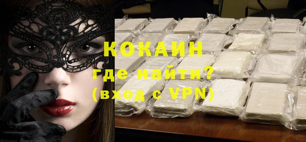 ПСИЛОЦИБИНОВЫЕ ГРИБЫ Новозыбков