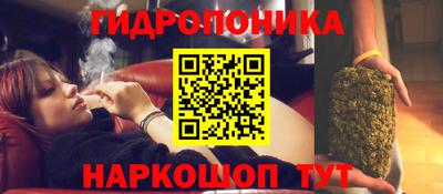 ГАЛЛЮЦИНОГЕННЫЕ ГРИБЫ Гай