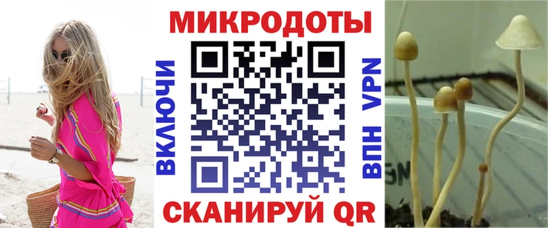 Псилоцибиновые грибы Psilocybine cubensis  купить закладку  мориарти клад  Урюпинск 