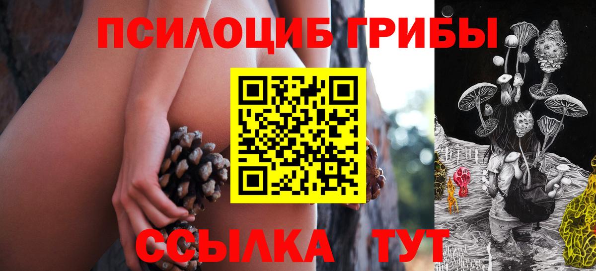 цены   Галлюциногенные грибы Psilocybe  Урюпинск  Галлюциногенные грибы Psilocybe 