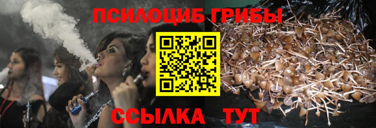 Галлюциногенные грибы Psilocybine cubensis  Вход с VPN  Урюпинск  Псилоцибиновые грибы мухоморы 